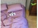 Фото Однотонное постельное белье полуторное Соло 167 сиреневое